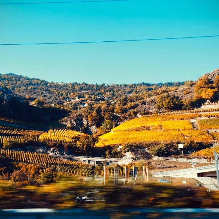 Outdoor terrace seating suitable for families in Berlin